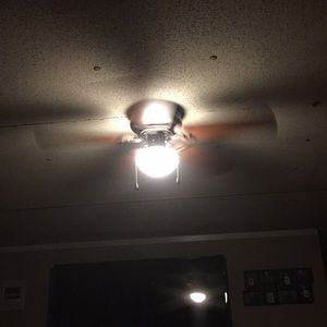 Meet your Posher, Lucille